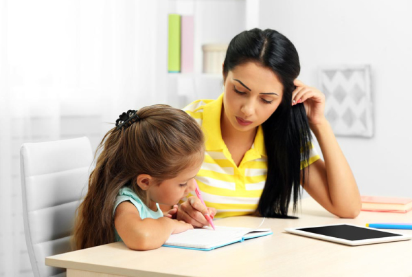 homeschooling-life engineering